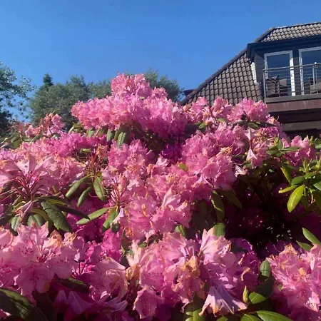 Düna 3 * Wangerooge