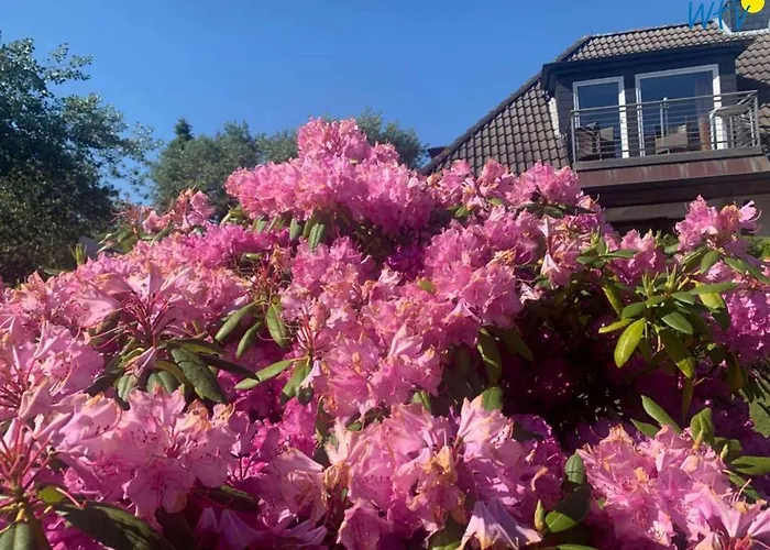 Duena 3 * Wangerooge